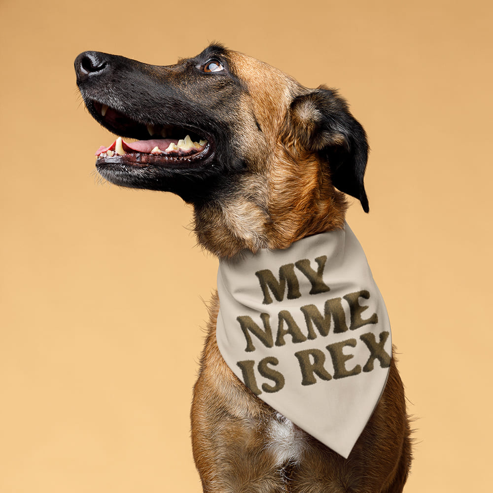 Fur Font