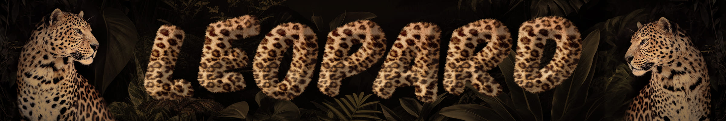 Logo of Leopard Font